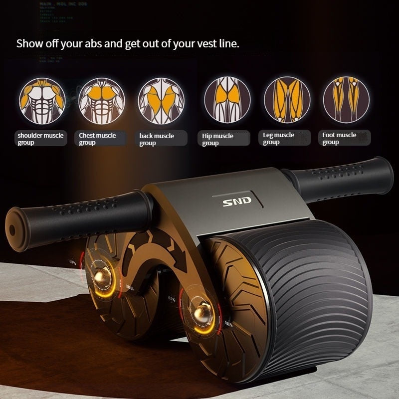 Premium Double Wheel Ab Roller